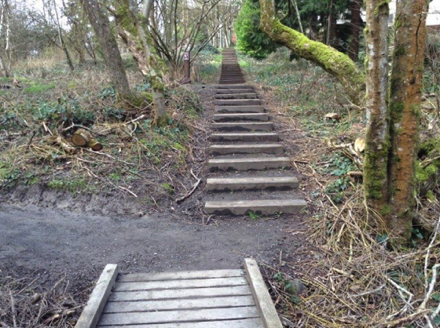 Steps lead to compacted gravel trail and boardwalk with edge protection